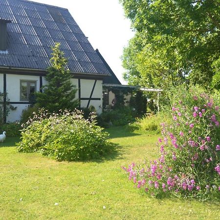 Byens Rareste B&B Harlev  Dış mekan fotoğraf