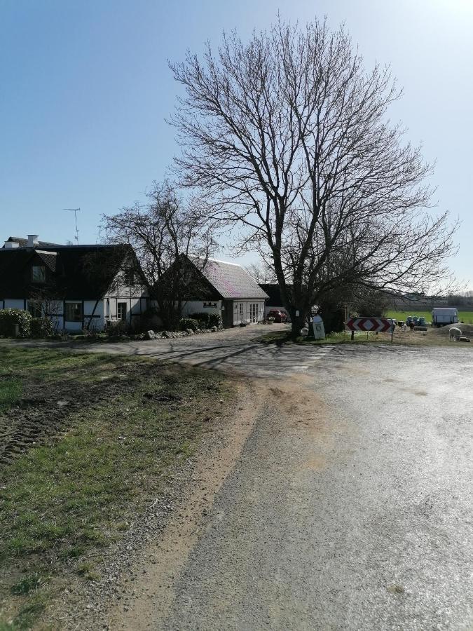 Byens Rareste B&B Harlev  Dış mekan fotoğraf